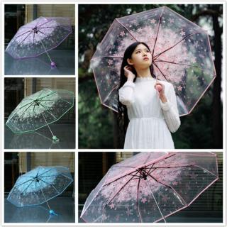 Umbrella Transparent Multicolor Clear Umbrella Cherry Blossom Mushroom_1